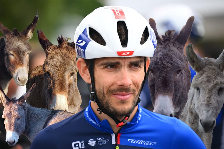 Guillaume Martin-Guyonnet has a democratically-elected donkey government